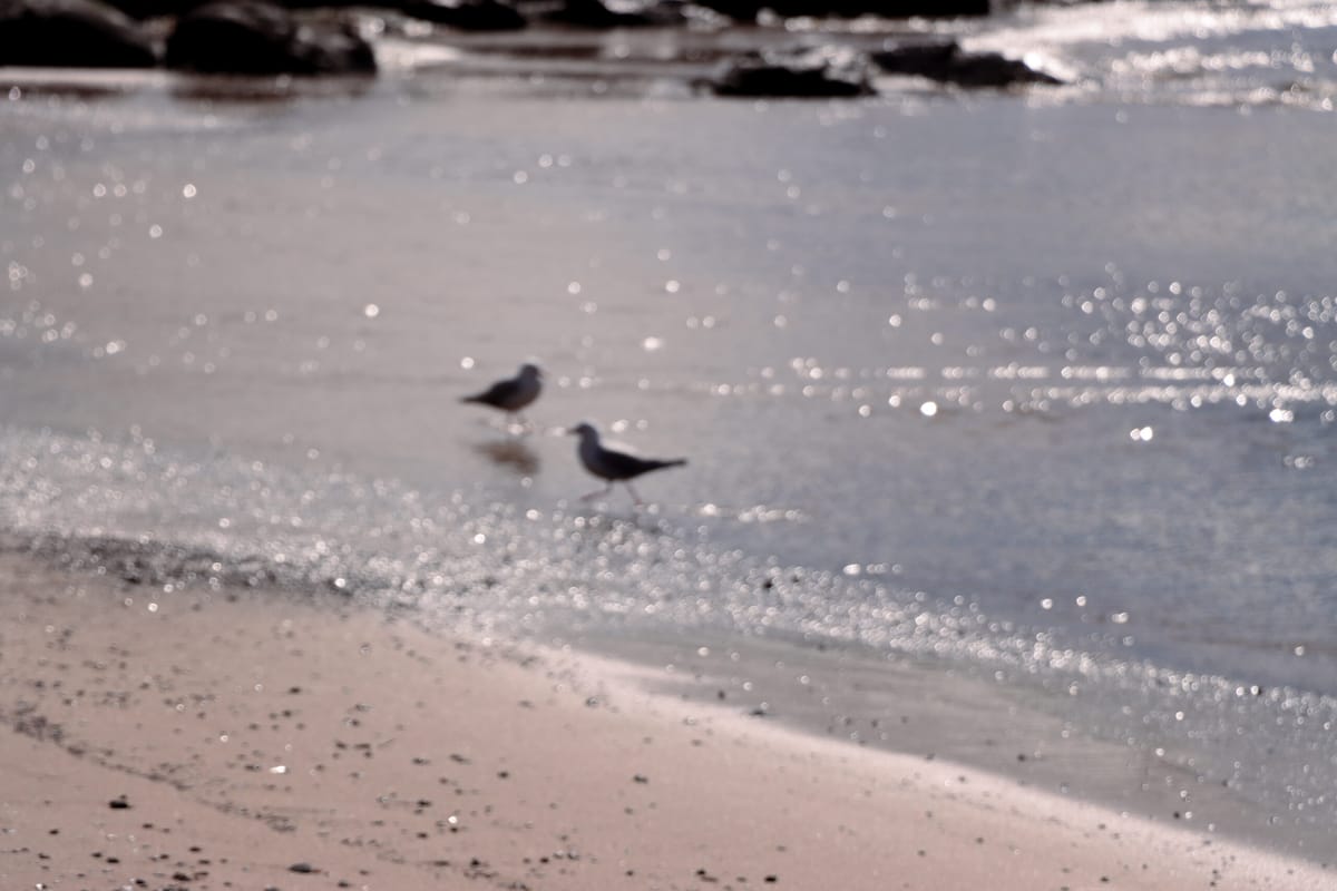 Wollongong, a city I love