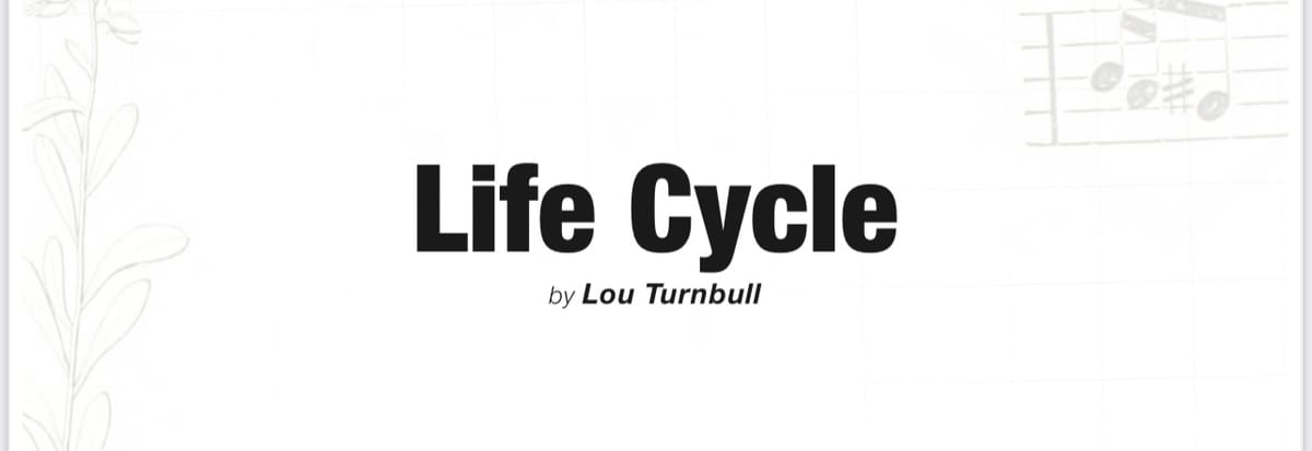 Life Cycle