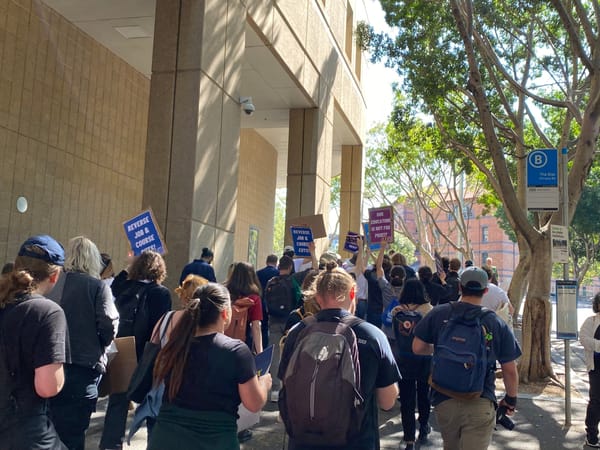 Protestors hit with capsicum spray at AFR Higher Education Summit