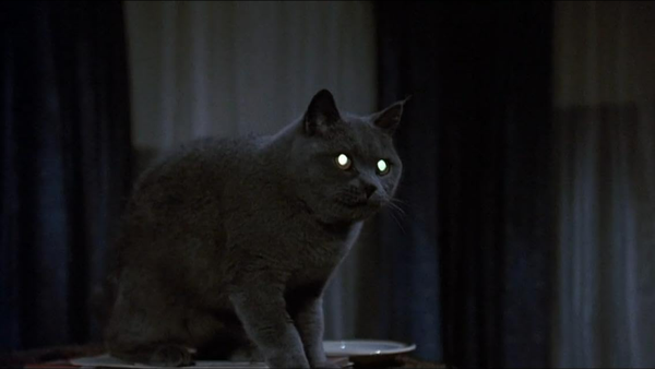 Pet Sematary - Film Review Friday