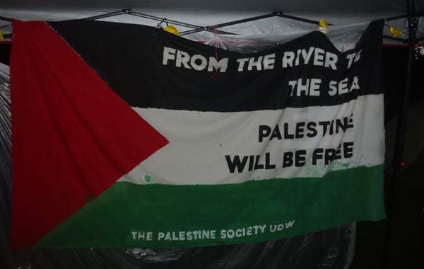 Students for Palestine – Then and Now